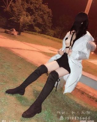 丹心谱